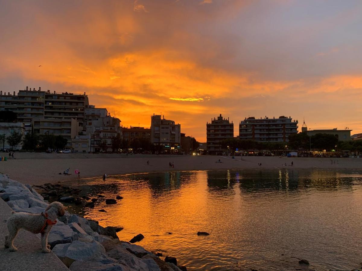 Notaria-Apartamento Y Estudio En Casco Antiguo, Al Lado De Playa, Rambla Y Monasterio, Con Acceso A Terraza Ajardinada Sant Feliu de Guixols Εξωτερικό φωτογραφία